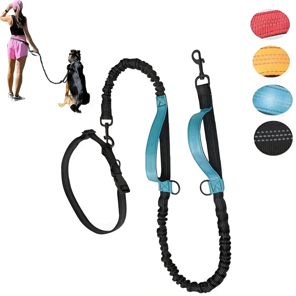 Hands-free dog leash with adjustable waist belt showing reflective trim and quick-release clip