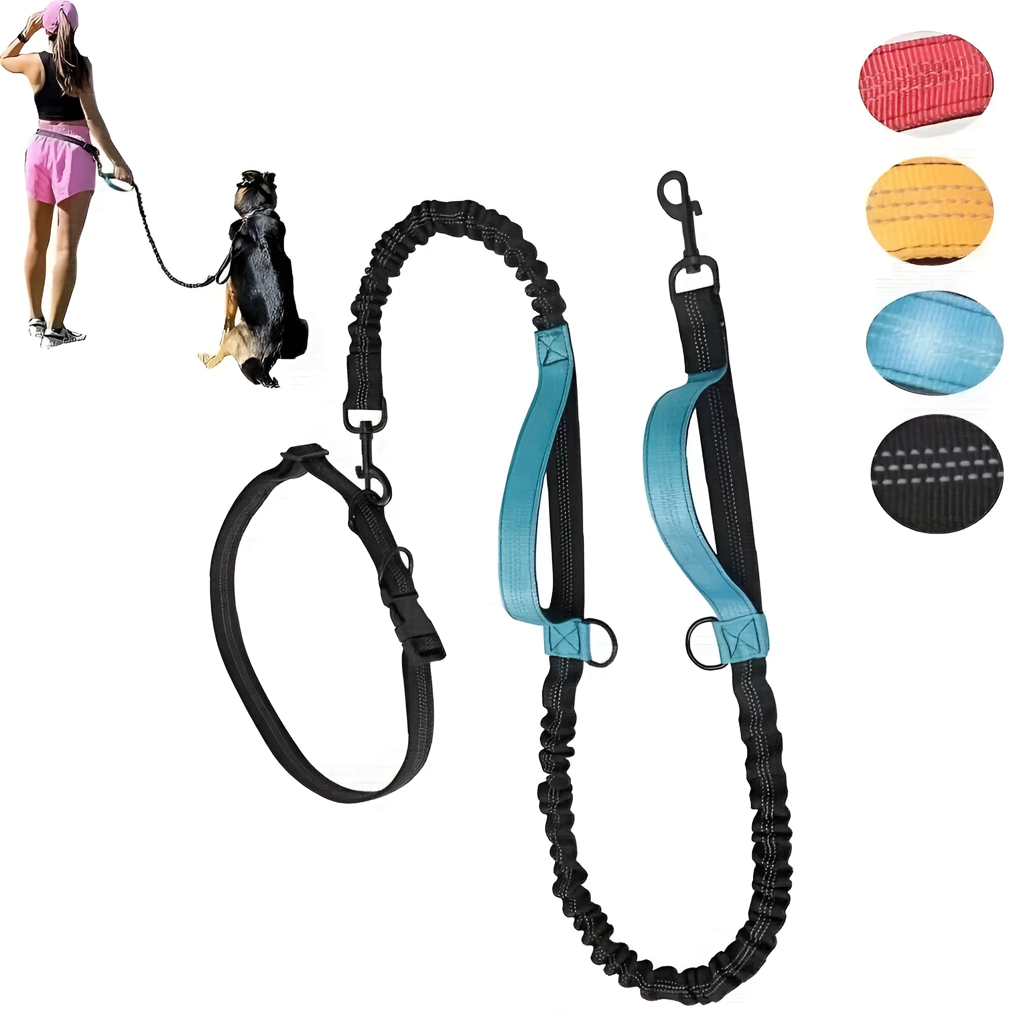 Hands-free dog leash with adjustable waist belt showing reflective trim and quick-release clip