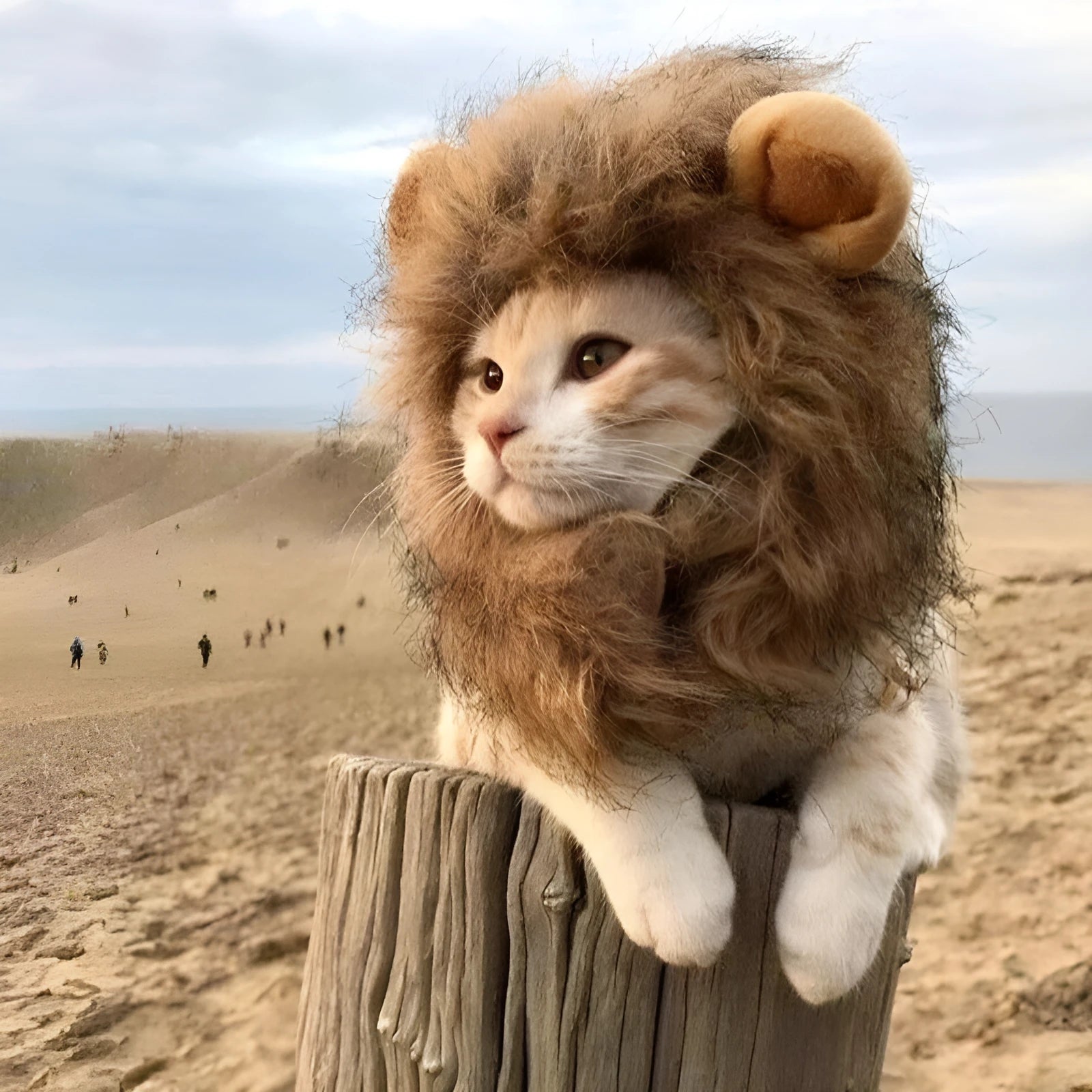 Lion mane wig for cats on pet with adjustable band and artificial hair