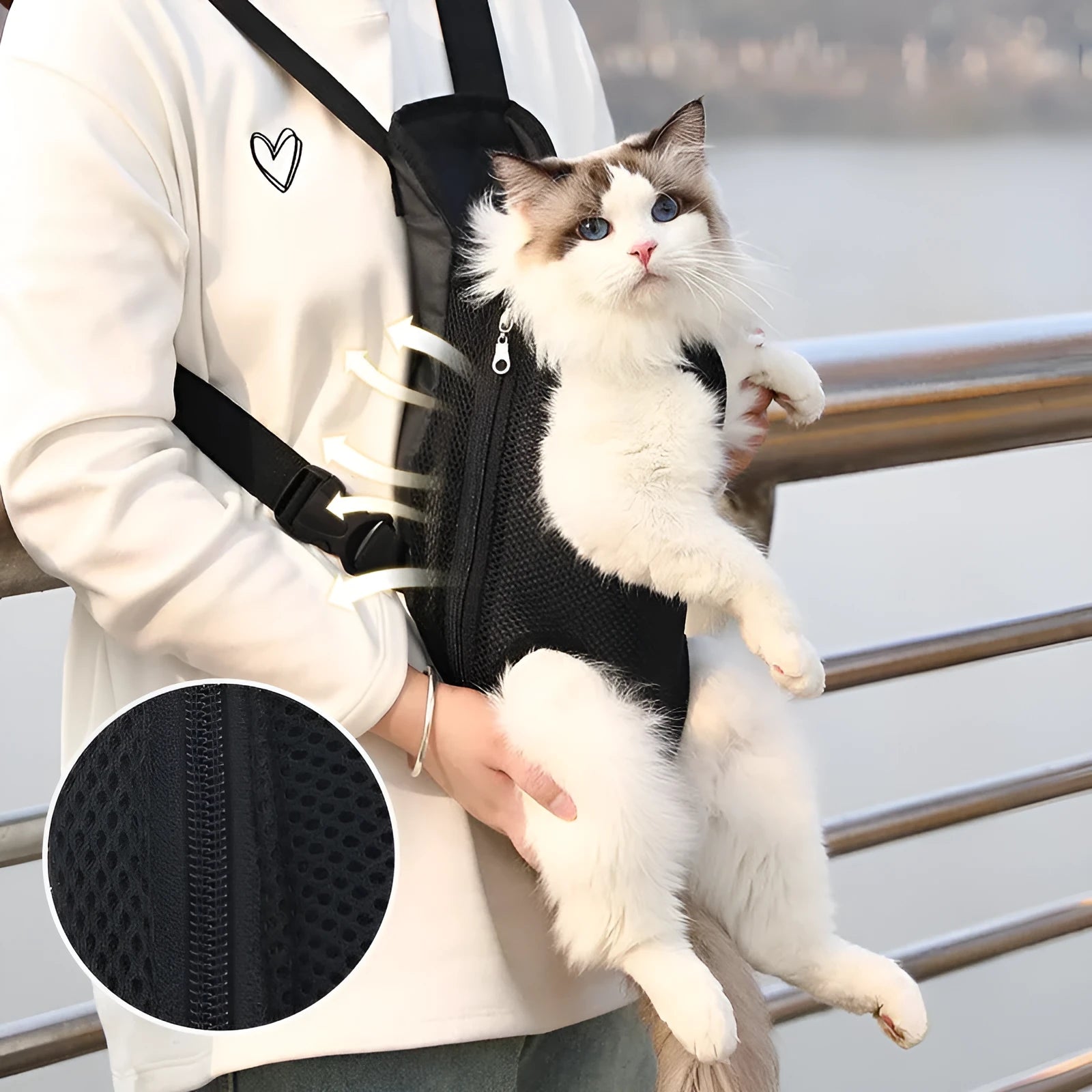A person wearing a black dog carrier backpack containing a small dog, showing the mesh panels and adjustable straps.