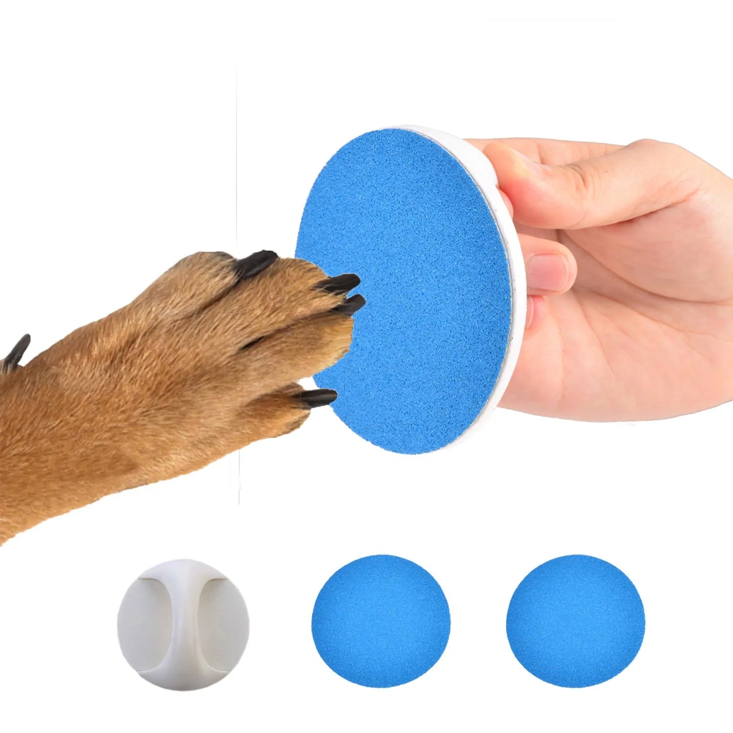 Square dog nail file with ergonomic handle in blue colour on a table