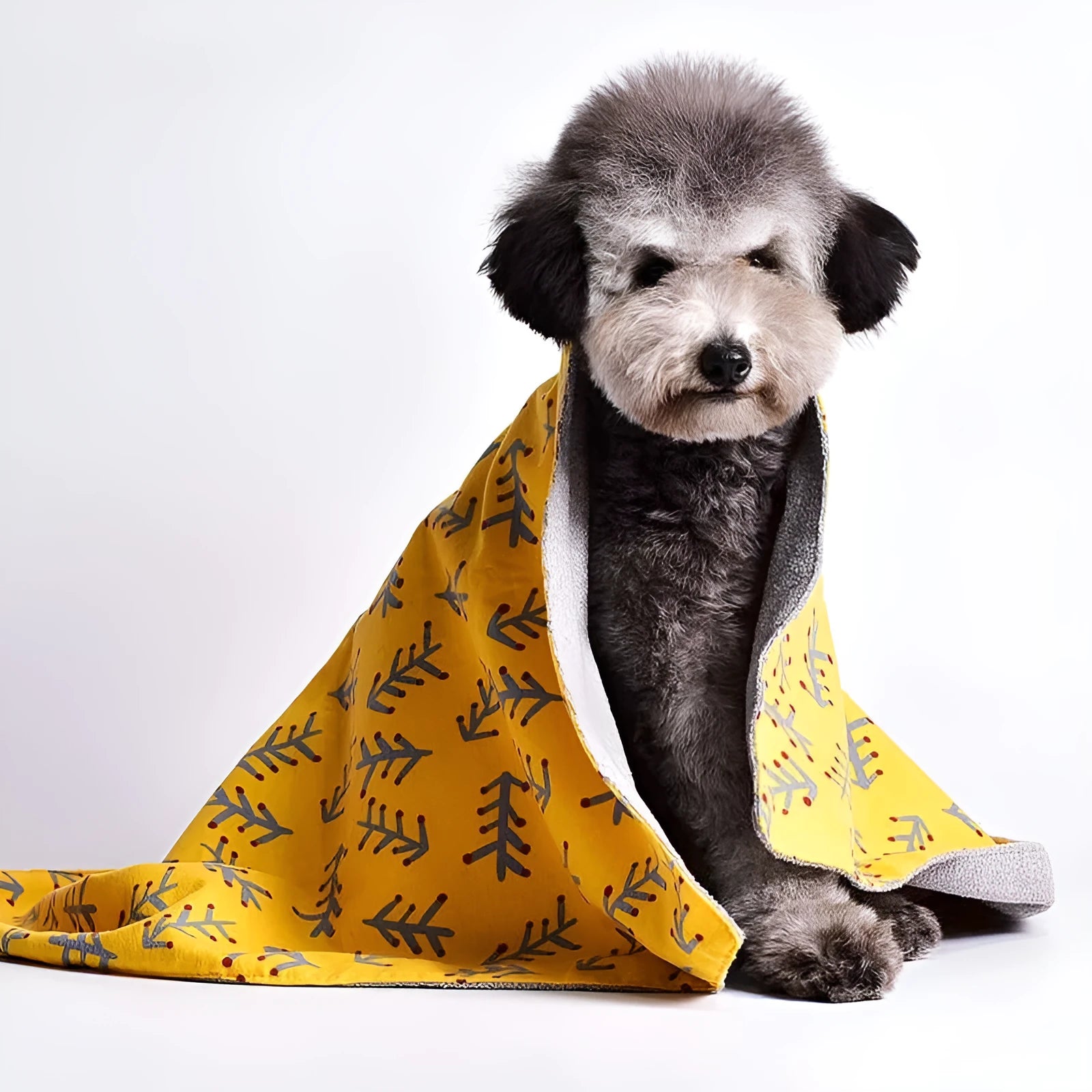 Double-sided cotton velvet pet blanket showing dinosaur and cartoon bear print options in various sizes.