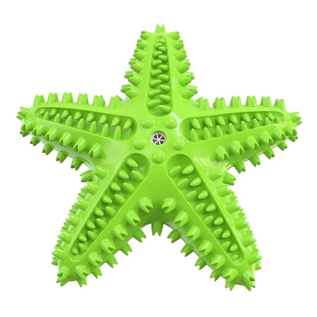 Blue edible TPR starfish dog chew toy with squeaker for dental cleaning