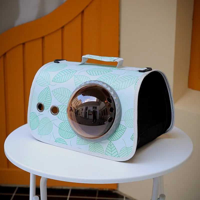 Transparent nylon pet carry bag with cartoon pattern and carrying handle