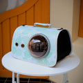 Transparent nylon pet carry bag with cartoon pattern and carrying handle