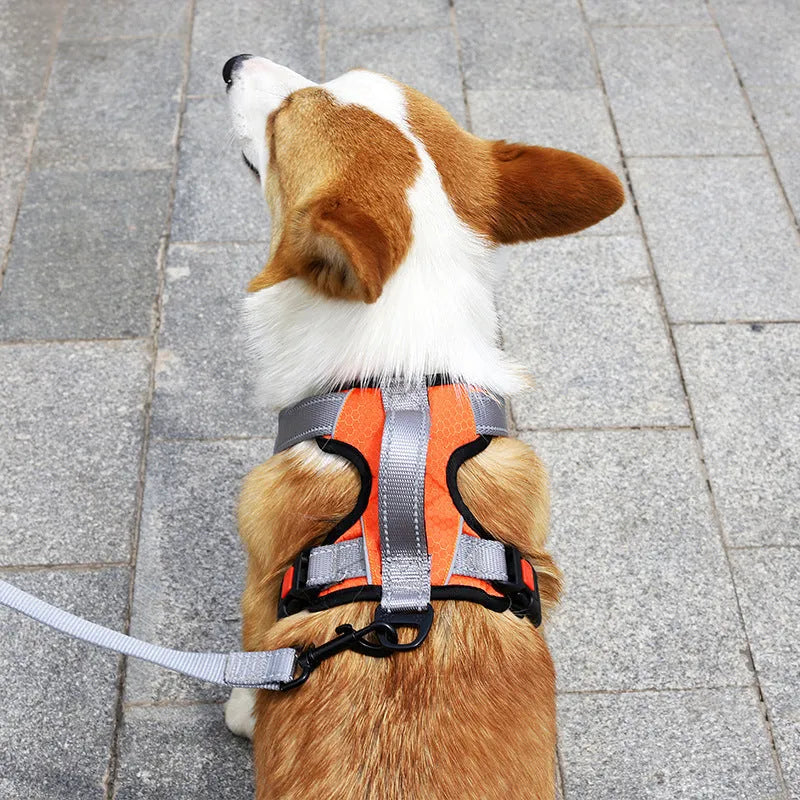 Orange polyester dog chest strap vest harness with an adjustable strap and a matching hand holding rope.