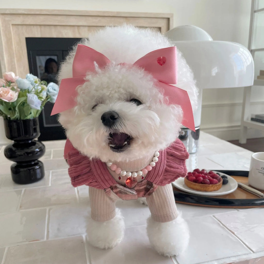 Blue princess bow dog hair band with adjustable tension on a small dog