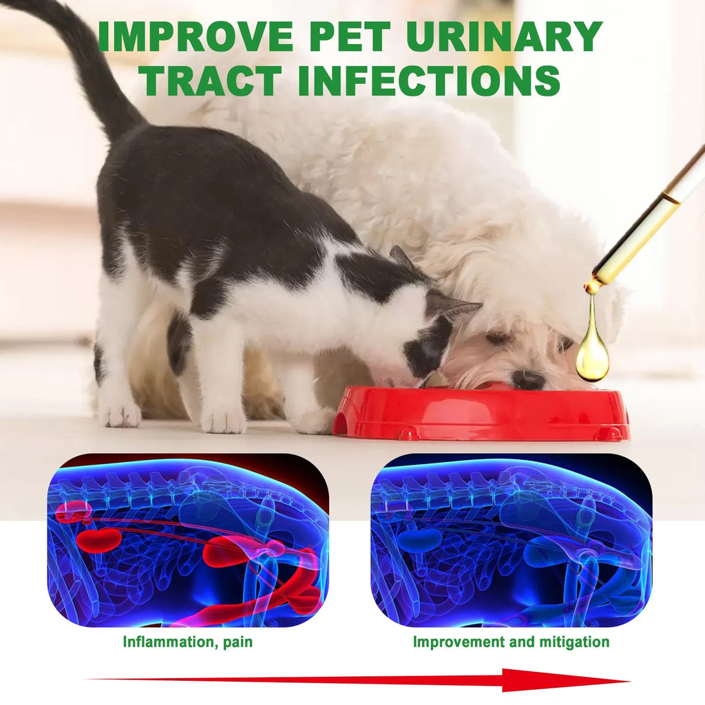 60ml bottle of pet pain relief care liquid supplement drops for dogs and cats