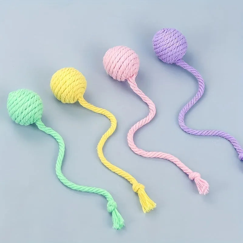 Colourful cat toy ball with an attached rope, shown in green, pink, purple, and yellow.