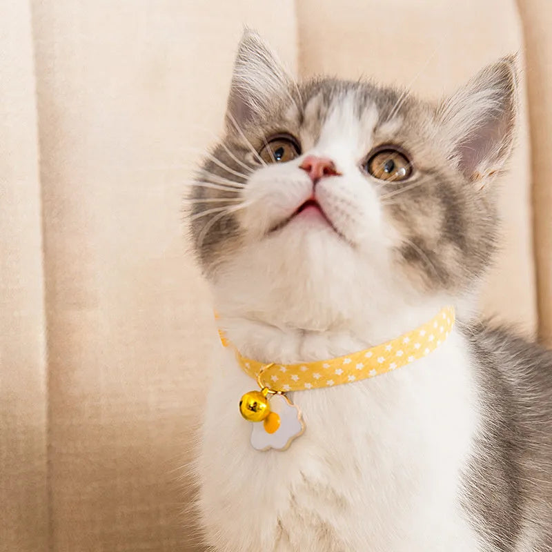 Adjustable green cat collar with a metal bell and a red bow tie pendant fastened around a small dog's neck.