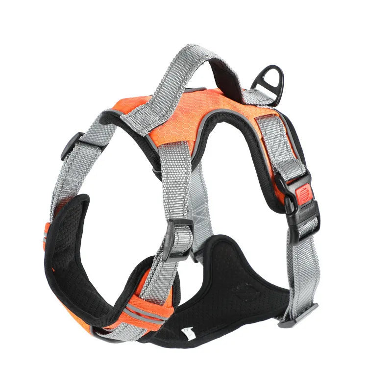 Orange polyester dog chest strap vest harness with an adjustable strap and a matching hand holding rope.