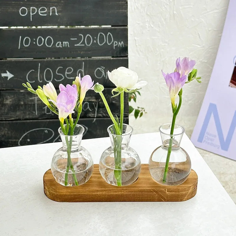 Transparent hydroponic vase in wooden frame for water plant display