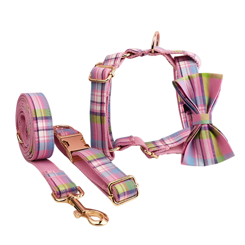 Complete four-piece dog collar and lead set with matching bow and vest in cloth material
