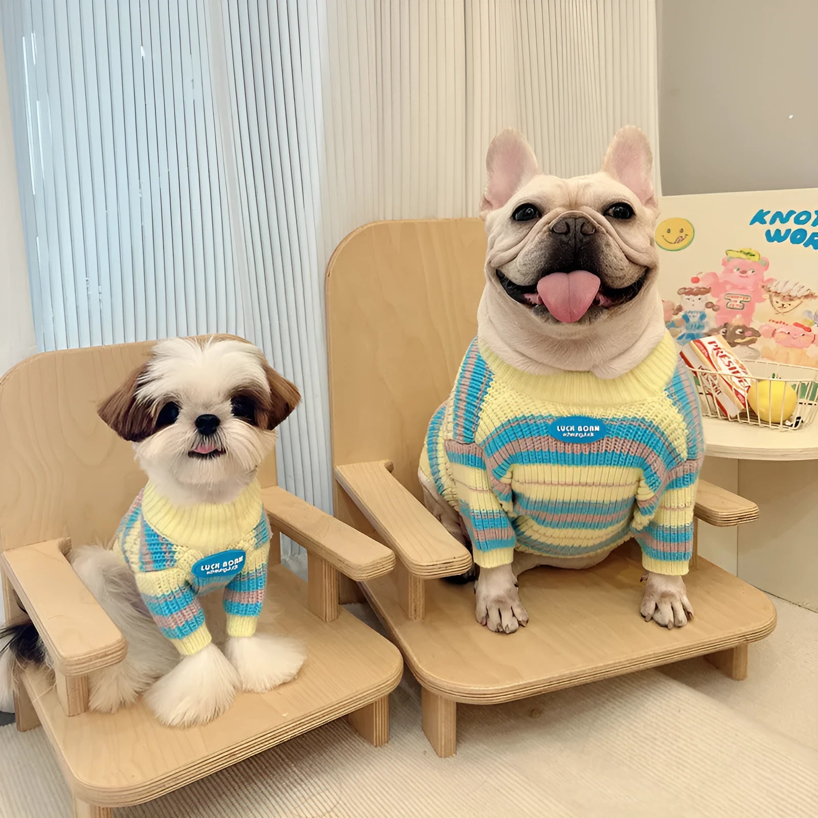 Blue and yellow striped wool blend dog sweater for small breeds in six sizes