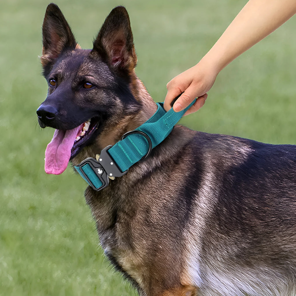 Nylon explosion-proof handle dog collar in black, 1.5-inch width, size M for neck 38-46cm