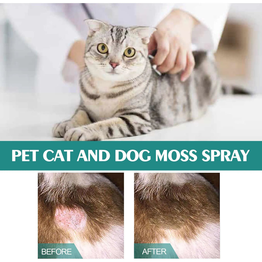30ml pet moss spray bottle with botanical extracts for cat and dog mite removal and anti-itch care