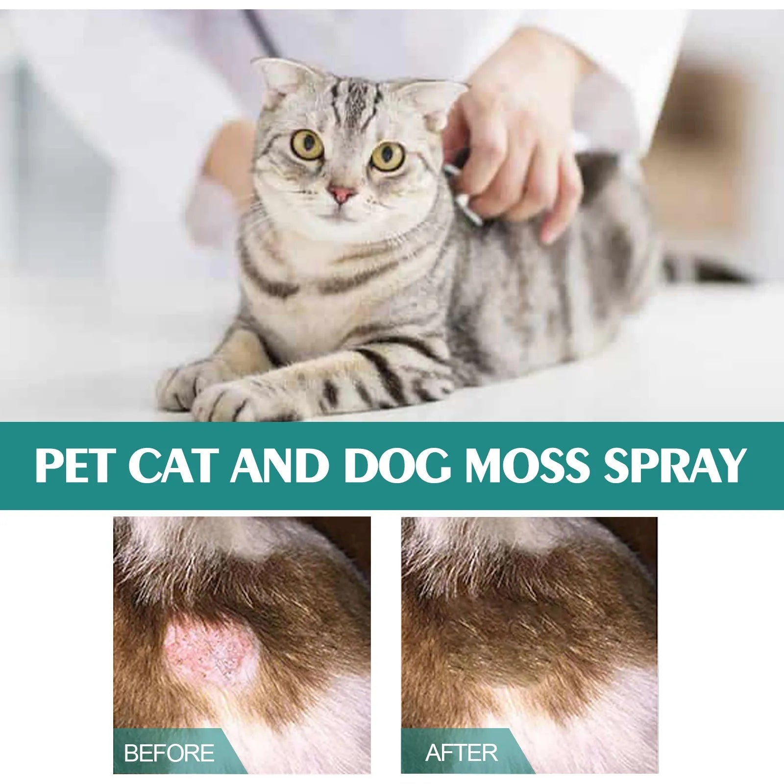 30ml pet moss spray bottle with botanical extracts for cat and dog mite removal and anti-itch care