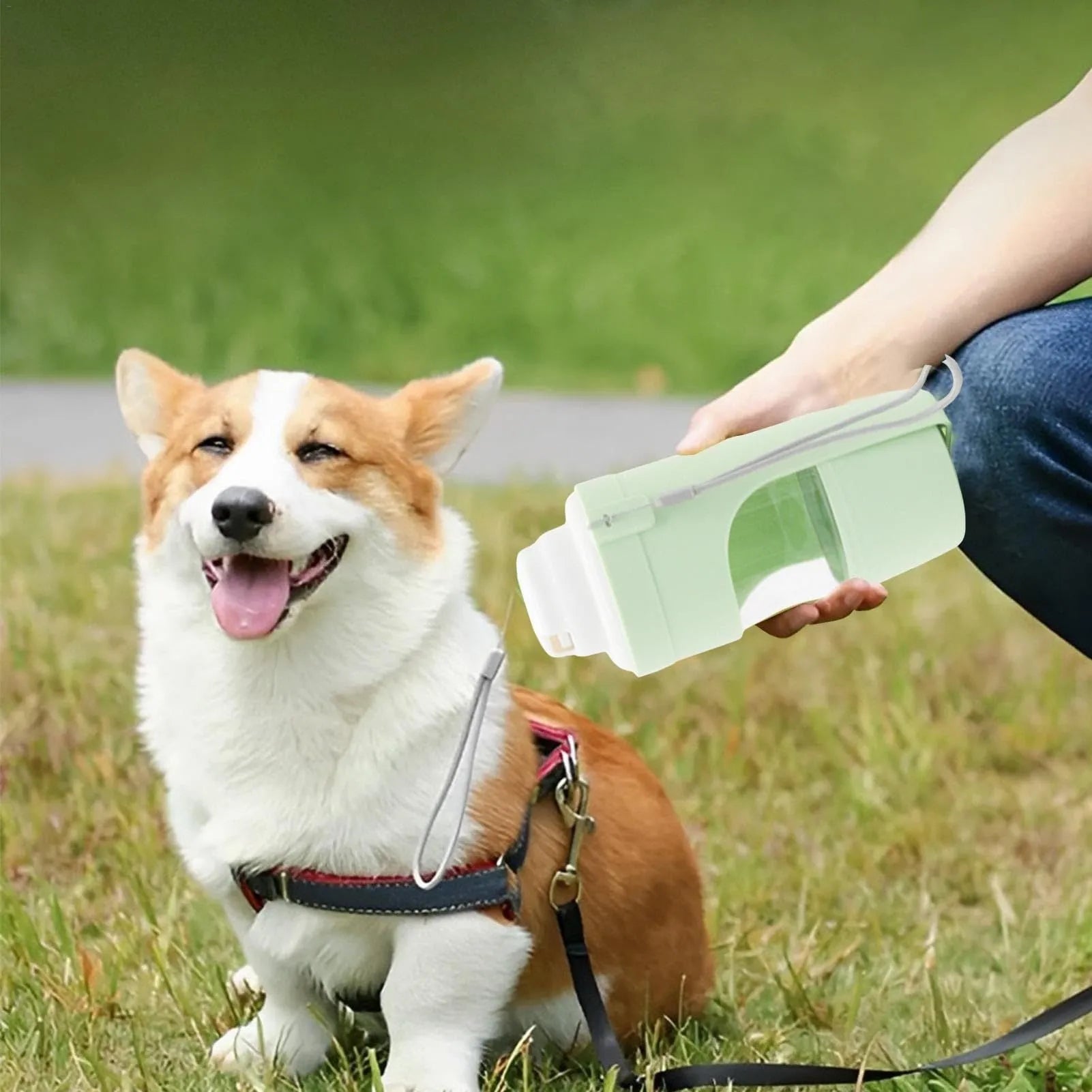 Green 2-in-1 travel dog water bottle with lanyard showing food and water compartments
