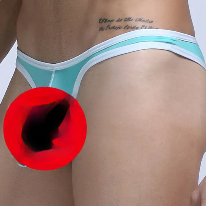 Men's Ice Silk underwear briefs with elephant nose front panel in multiple colours.