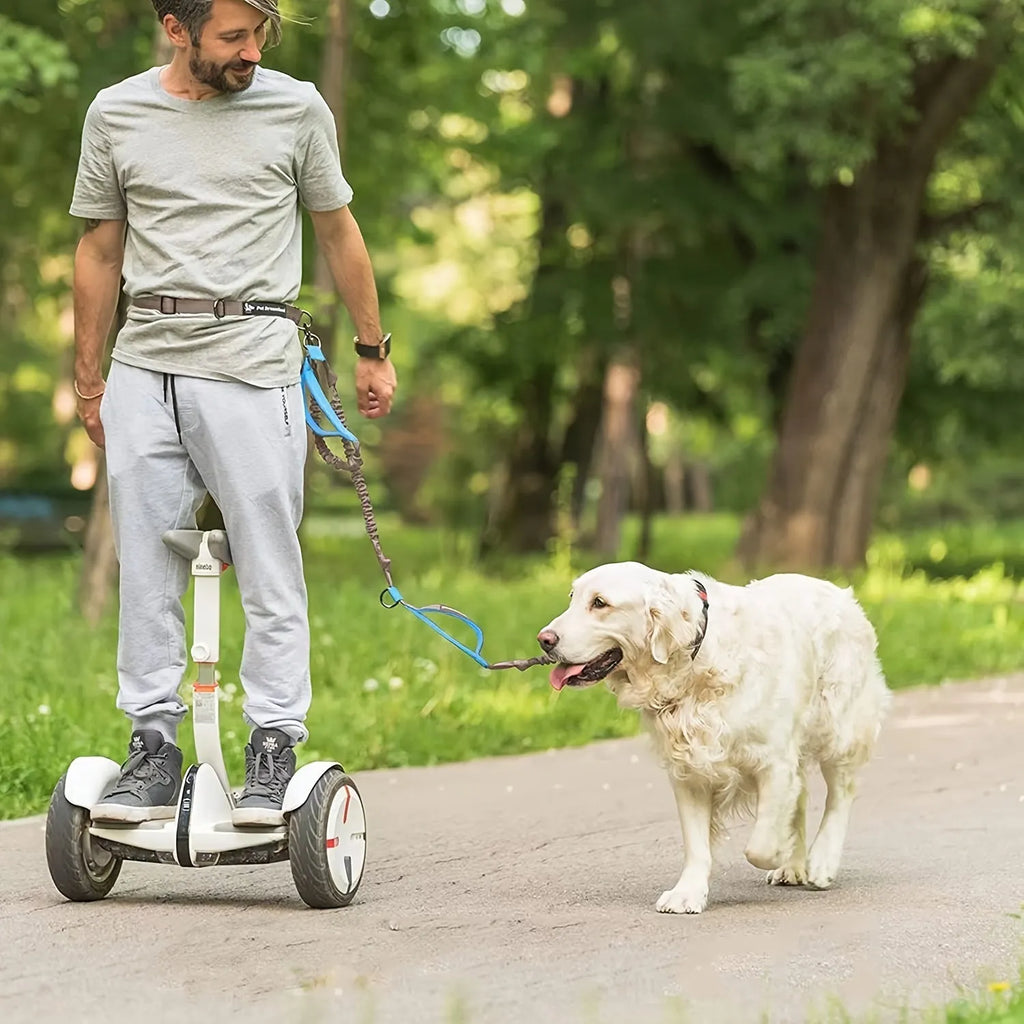 Hands-free dog leash with adjustable waist belt showing reflective trim and quick-release clip