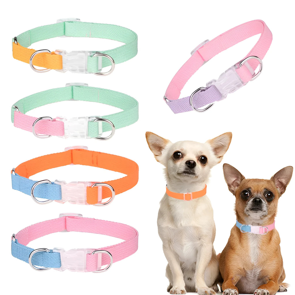 Polyester ribbon dog collar, lead, and chest strap set in a two-tone colour, shown with size adjustment buckle.