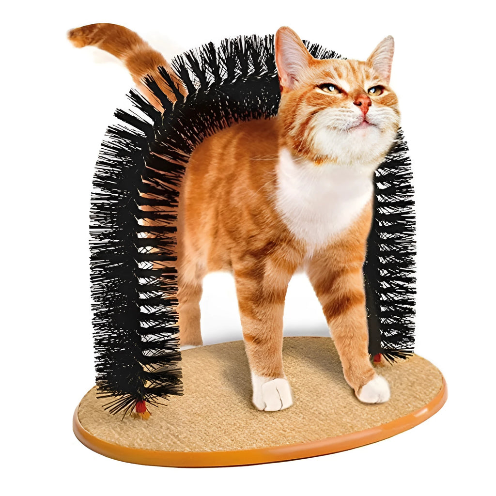 Grey arched plastic cat grooming toy with integrated brush bristles for scratching and rubbing