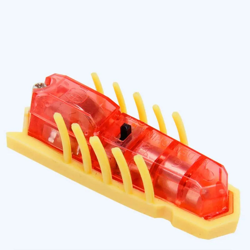 Electric crawling bug cat toy with ladybug shape on hard surface