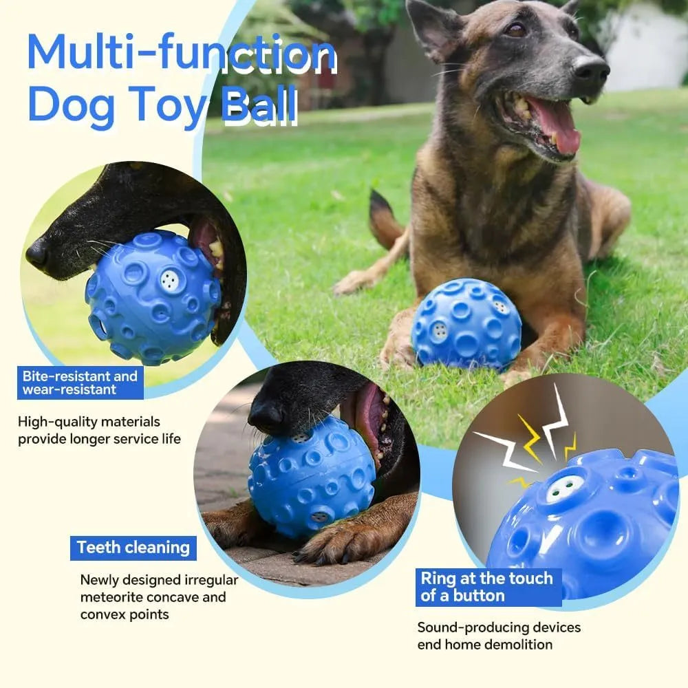 Durable rubber dog chew ball in multiple colours with squeaky sound and teeth-cleaning bumps.