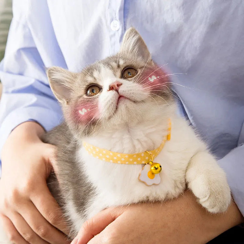 Adjustable green cat collar with a metal bell and a red bow tie pendant fastened around a small dog's neck.