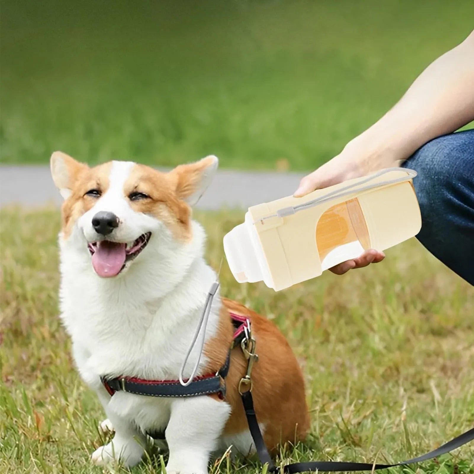 Green 2-in-1 travel dog water bottle with lanyard showing food and water compartments