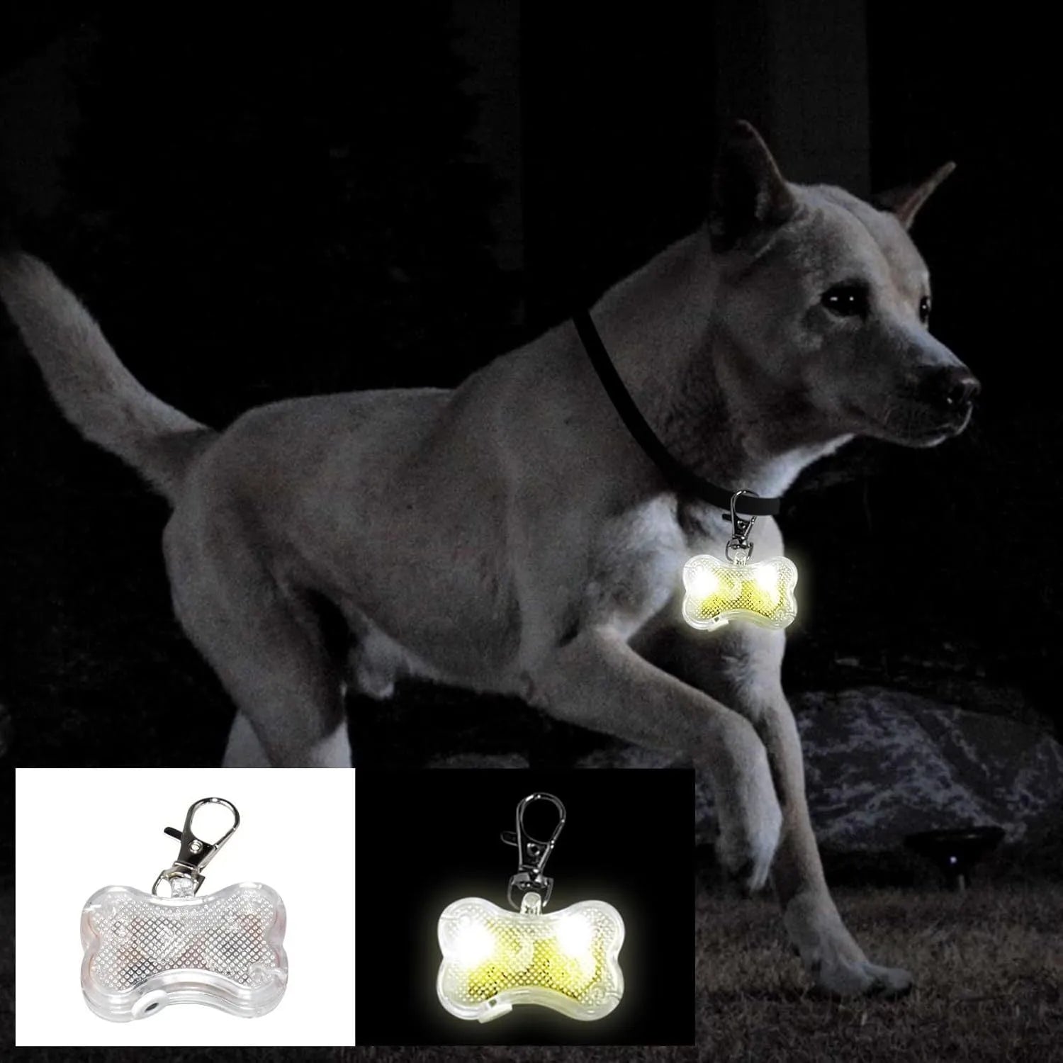 Blue LED luminous bone-shaped pendant for pet collars showing scale next to LR44 batteries.