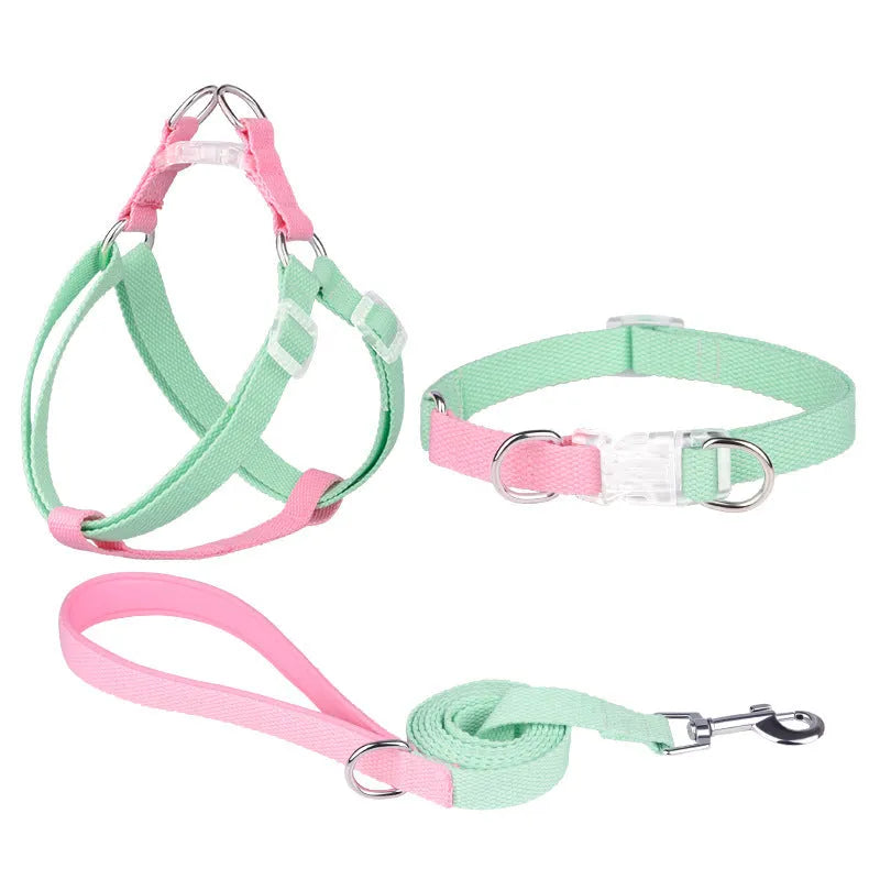 Polyester ribbon dog collar, lead, and chest strap set in a two-tone colour, shown with size adjustment buckle.