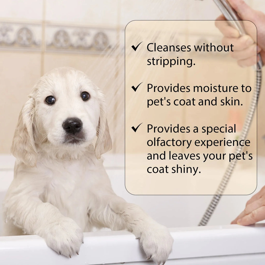 Bottle of mild pet shampoo for cats and dogs to soften fur and reduce knots.