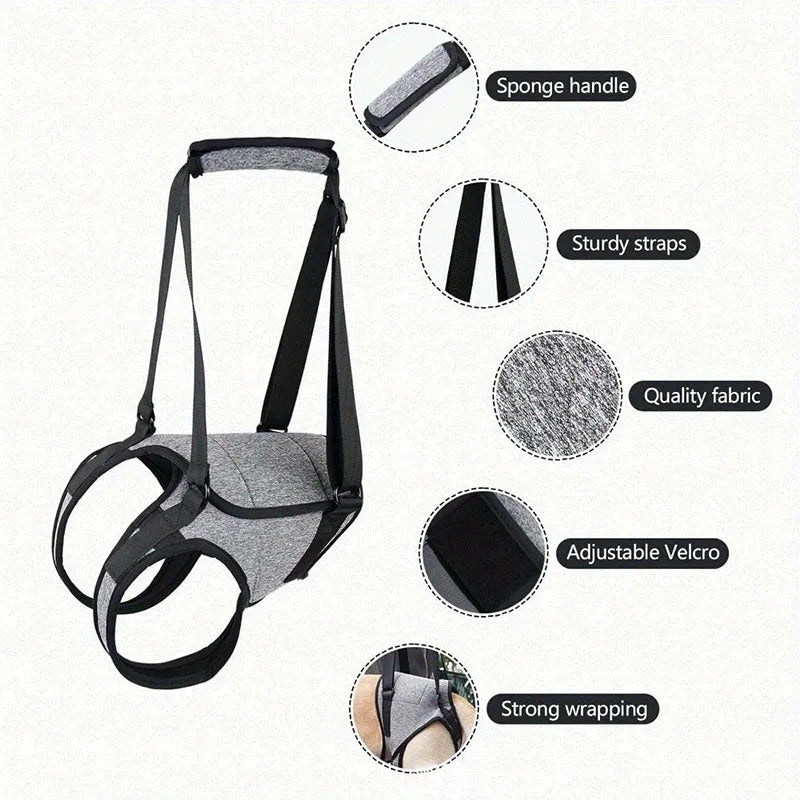Grey neoprene dog rear leg recovery belt with adjustable waist and thigh straps shown on size chart