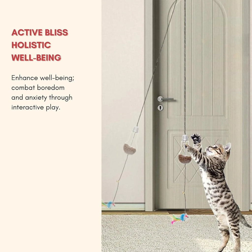 Interactive cat toy hanging from door frame with treat bulb and dangling mouse