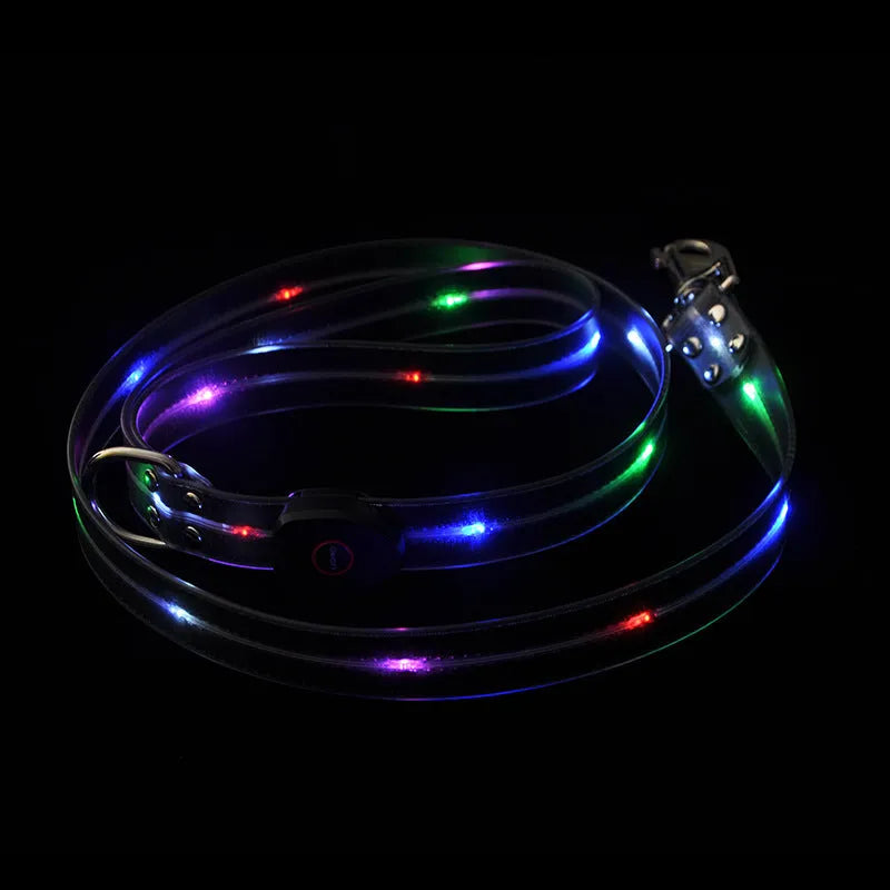 PVC dog leash with fluorescent colour options measuring 120cm length for hand holding control