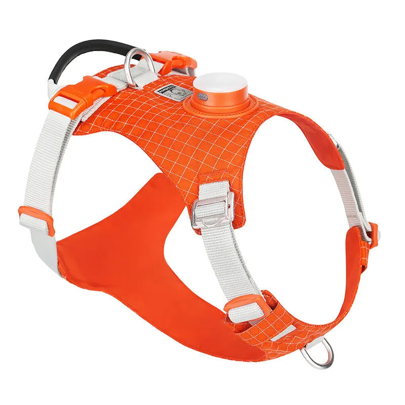 Nylon dog harness with LED light on dog's chest, shown in light purple, for nighttime walks.