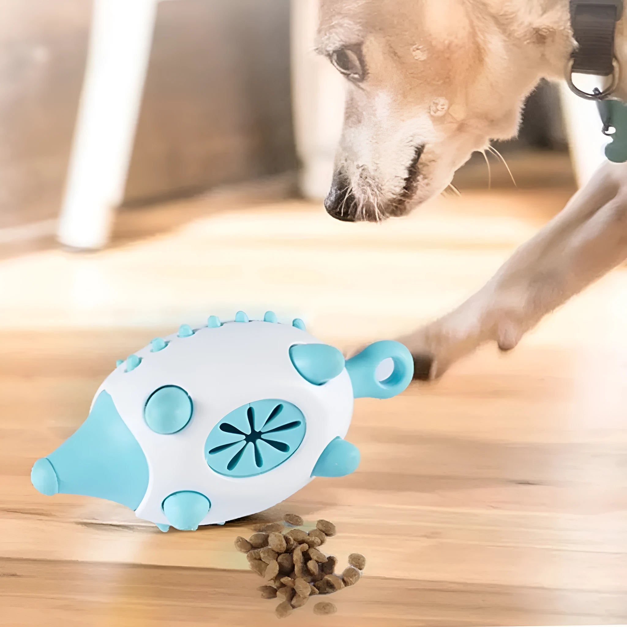 Blue wear-resistant treat dispensing dog toy with squeaky ball on white background