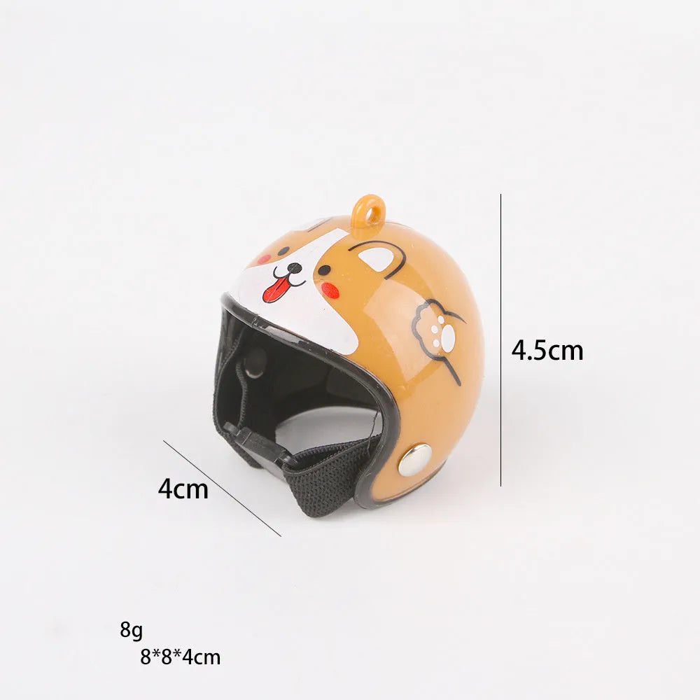 Small hard plastic pet helmet with elastic straps, shown on a chicken.