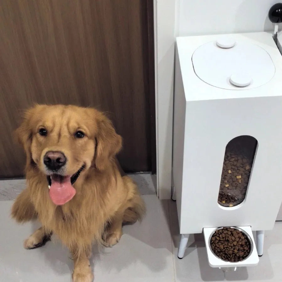 Wooden pet feeder with high 20cm or low 10cm legs, available in black, white, or wood colour for dogs and cats