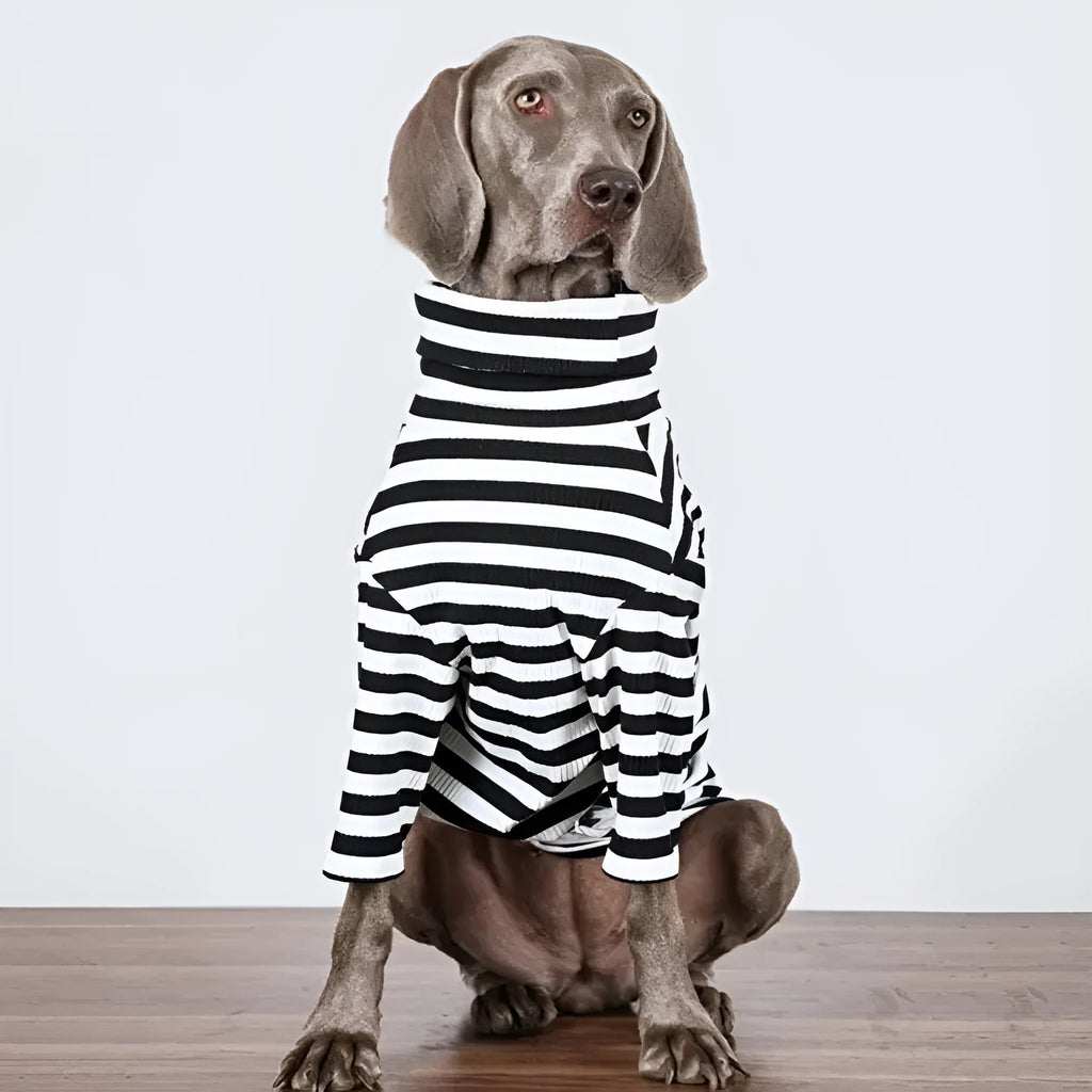 Black and white thin polyester inner layer dog clothing for large breeds showing size range M to XXXL