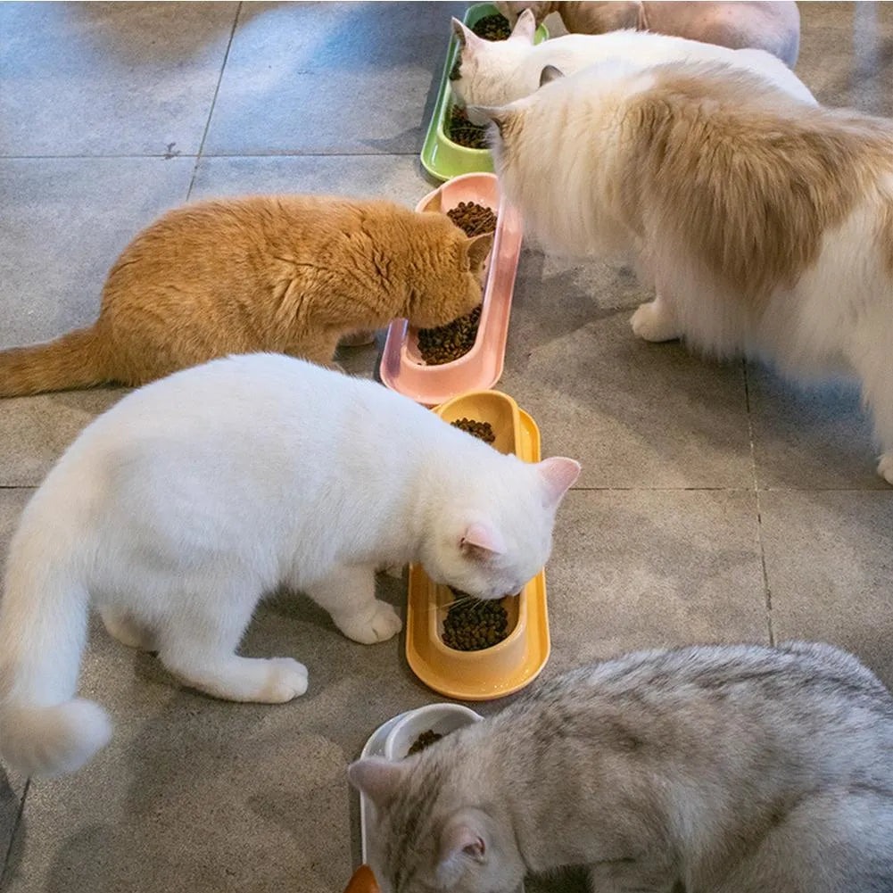 Leakproof pet bowl feeder with non-slip base in green, pink and yellow colours