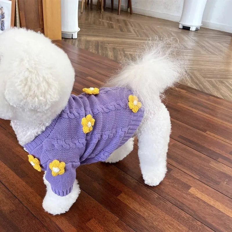 Purple flower print knitted dog jumper shown on a small dog, demonstrating the floral pattern and fit.