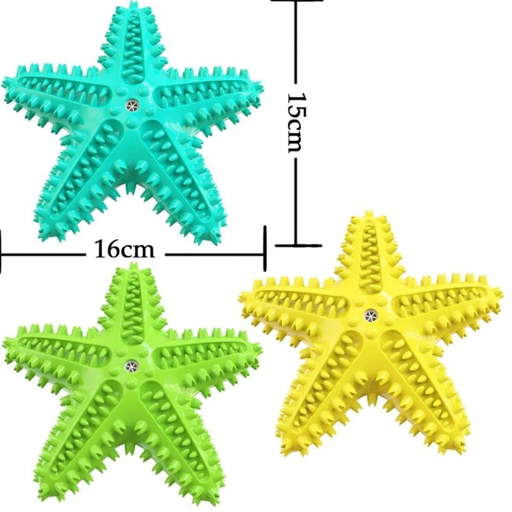 Blue edible TPR starfish dog chew toy with squeaker for dental cleaning