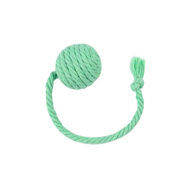 Colourful cat toy ball with an attached rope, shown in green, pink, purple, and yellow.