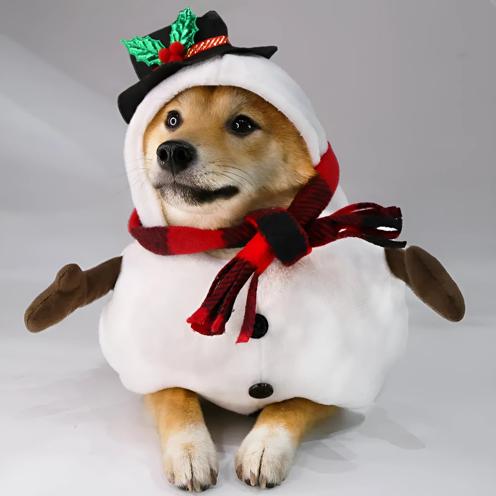 Christmas snowman costume outfit for dogs and cats in polyester material