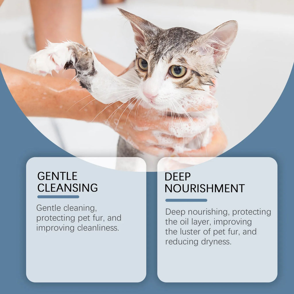 100ml bottle of cat and dog cleaning bath shampoo with milk and coconut oil
