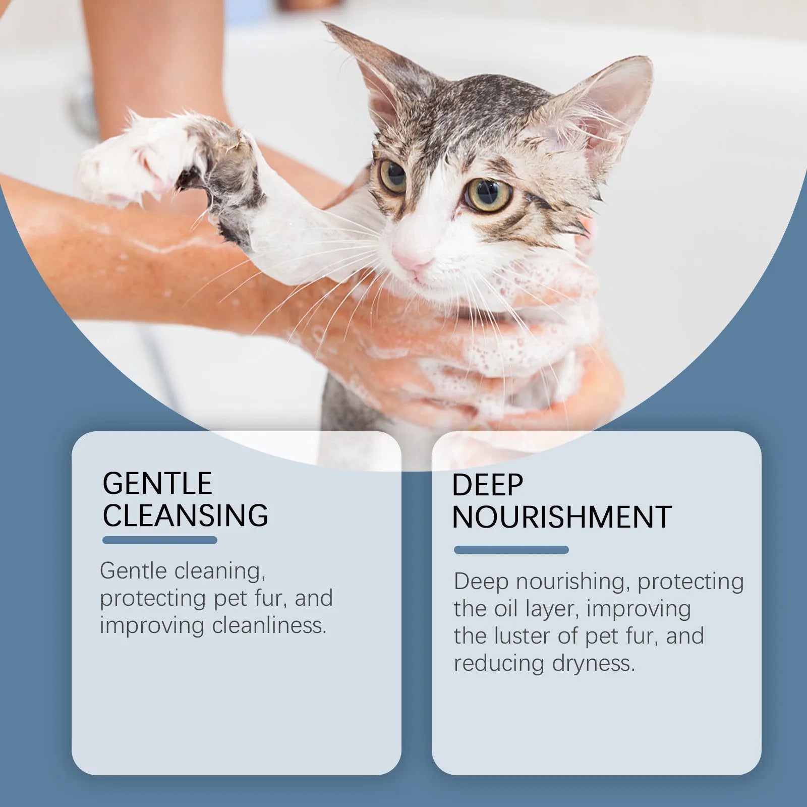 100ml bottle of cat and dog cleaning bath shampoo with milk and coconut oil