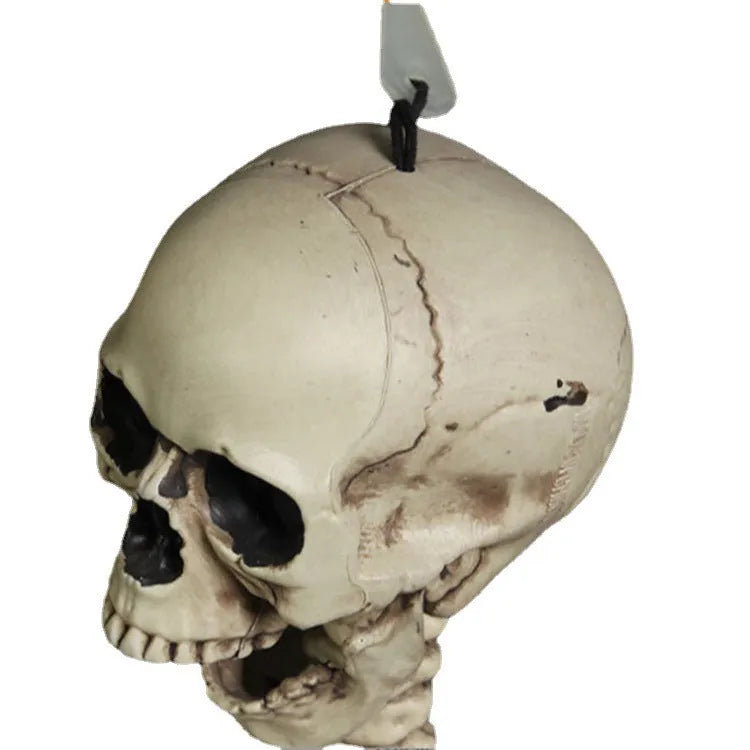 Full 170 cm tall plastic skeleton prop with detailed human skull standing upright