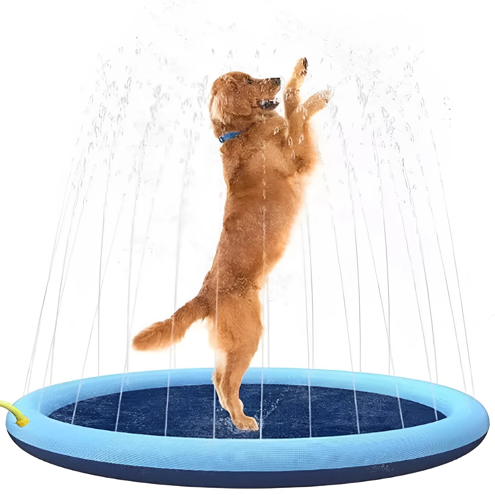 Inflatable blue dog splash pool mat with anti-slip texture, shown in a garden with a dog playing